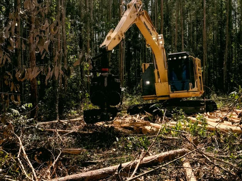 Land clearing project in Dallas